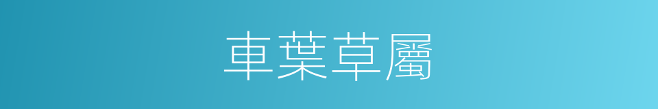 車葉草屬的同義詞