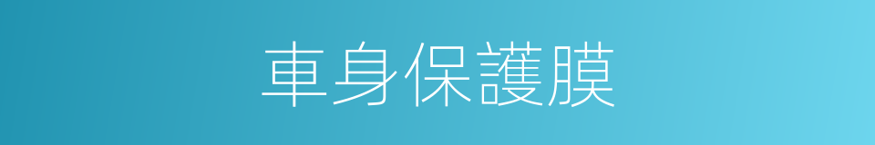 車身保護膜的同義詞