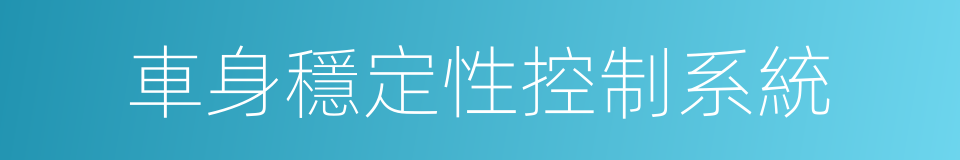 車身穩定性控制系統的同義詞