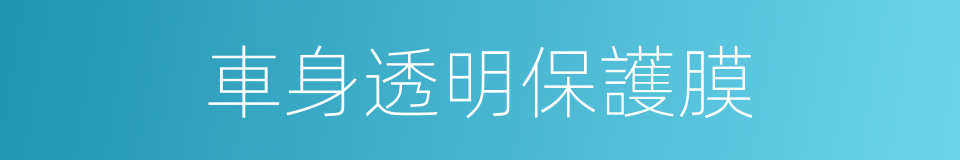車身透明保護膜的同義詞