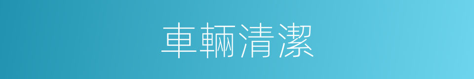 車輛清潔的意思