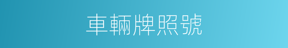 車輛牌照號的同義詞