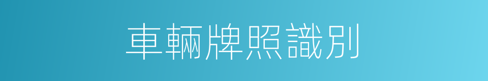 車輛牌照識別的同義詞