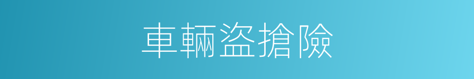 車輛盜搶險的同義詞