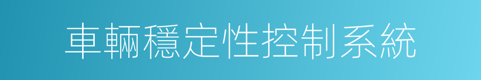 車輛穩定性控制系統的同義詞