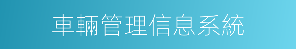 車輛管理信息系統的同義詞