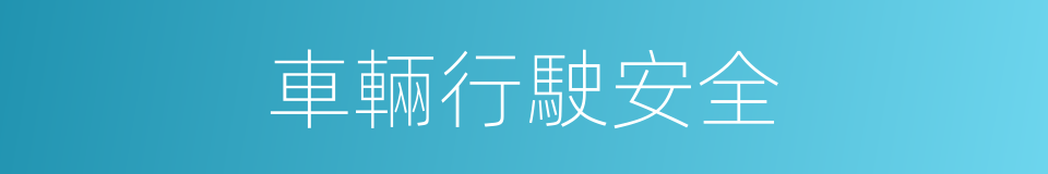 車輛行駛安全的同義詞
