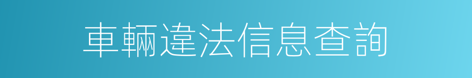 車輛違法信息查詢的同義詞