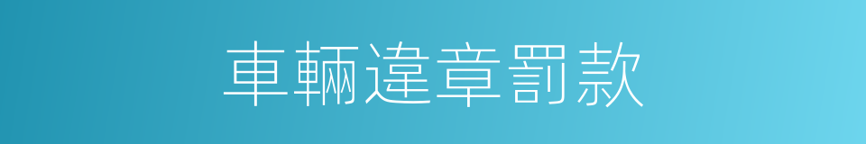 車輛違章罰款的同義詞