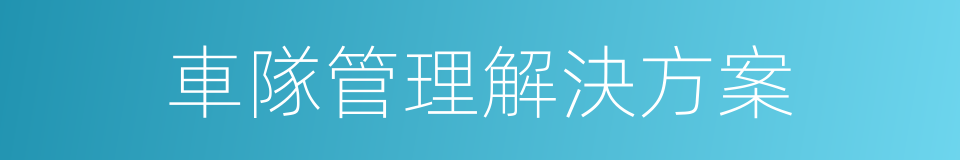 車隊管理解決方案的同義詞