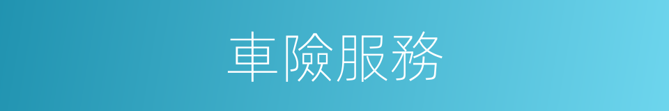 車險服務的同義詞