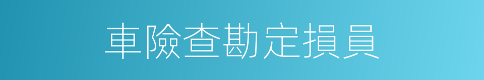 車險查勘定損員的同義詞