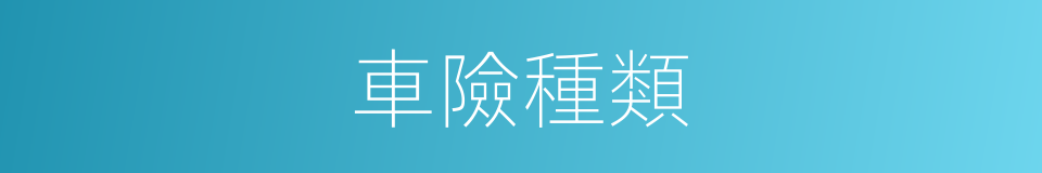 車險種類的同義詞