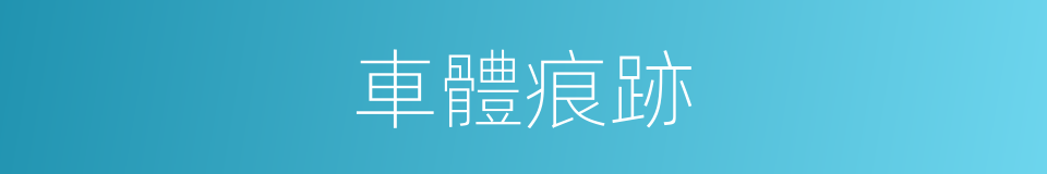 車體痕跡的同義詞