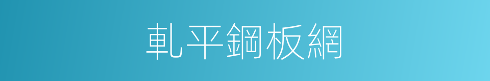 軋平鋼板網的同義詞