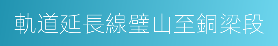 軌道延長線璧山至銅梁段的同義詞