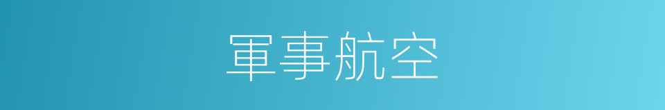 軍事航空的同義詞