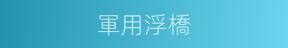 軍用浮橋的同義詞
