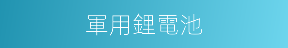 軍用鋰電池的同義詞