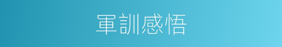 軍訓感悟的同義詞