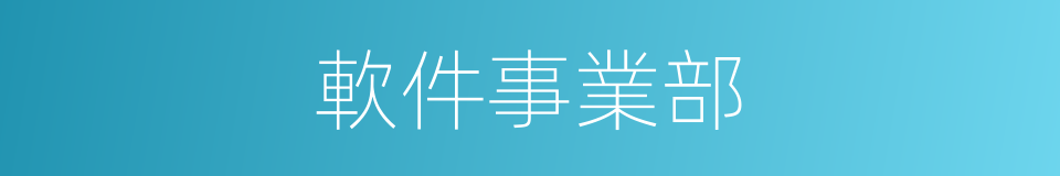 軟件事業部的同義詞