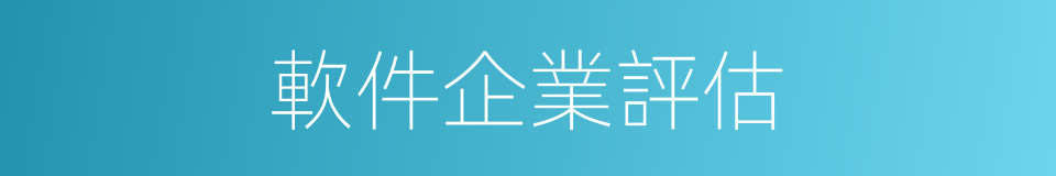 軟件企業評估的同義詞