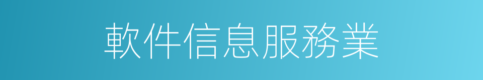 軟件信息服務業的同義詞