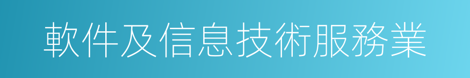 軟件及信息技術服務業的同義詞