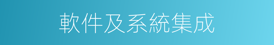 軟件及系統集成的同義詞