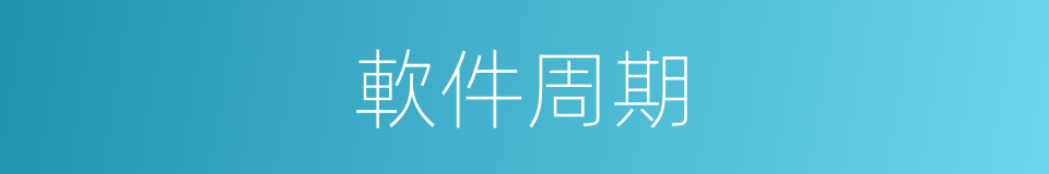軟件周期的同義詞