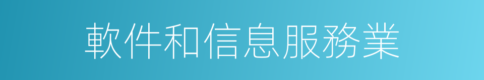 軟件和信息服務業的同義詞