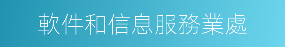 軟件和信息服務業處的同義詞