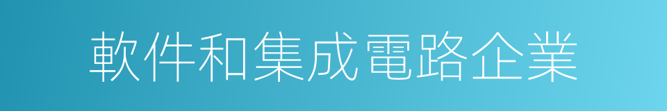 軟件和集成電路企業的同義詞