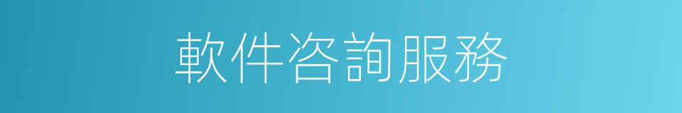 軟件咨詢服務的同義詞