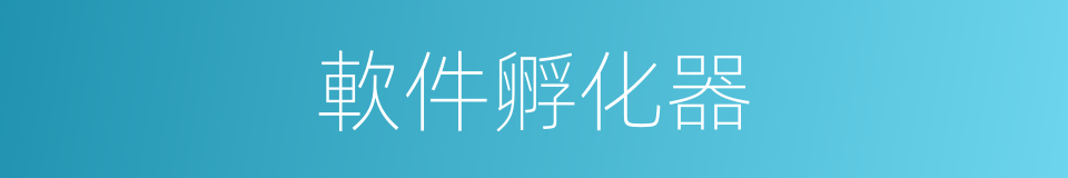 軟件孵化器的同義詞