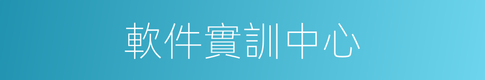 軟件實訓中心的同義詞