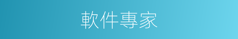 軟件專家的同義詞