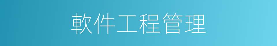 軟件工程管理的同義詞