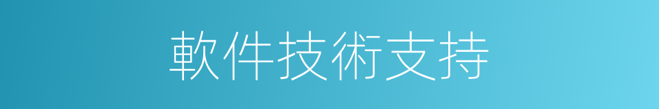 軟件技術支持的同義詞