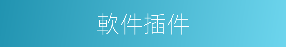 軟件插件的同義詞