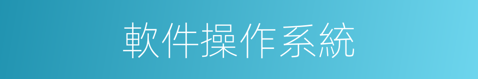 軟件操作系統的同義詞