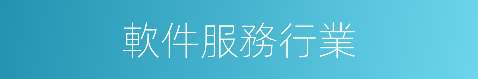 軟件服務行業的同義詞