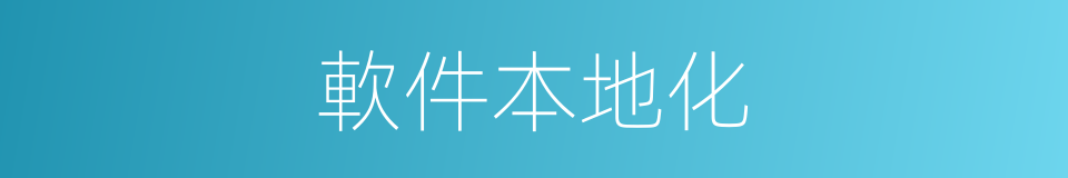 軟件本地化的同義詞