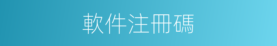 軟件注冊碼的同義詞