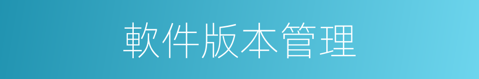 軟件版本管理的同義詞