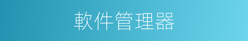 軟件管理器的同義詞