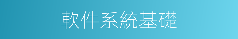 軟件系統基礎的同義詞