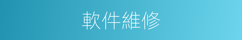 軟件維修的同義詞