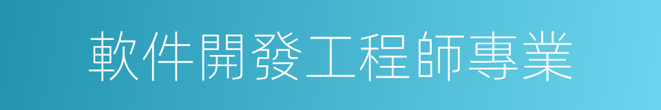 軟件開發工程師專業的同義詞