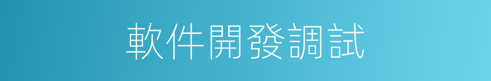軟件開發調試的同義詞